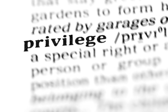 definitie privilege